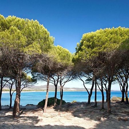 B&B La Quercia Budoni, Tanaunella Екстериор снимка